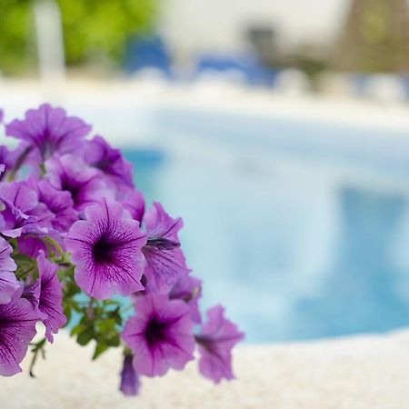 La Crisalida Retreats Daire El Albir Dış mekan fotoğraf
