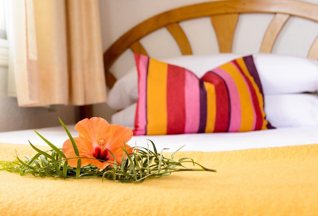 La Crisalida Retreats Daire El Albir Dış mekan fotoğraf