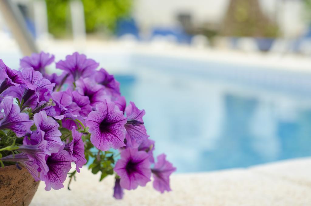 La Crisalida Retreats Daire El Albir Dış mekan fotoğraf